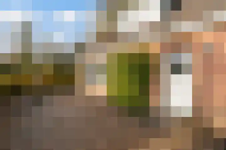 Wolfsesteeg 3 Nijkerkerveen thumbnail 7