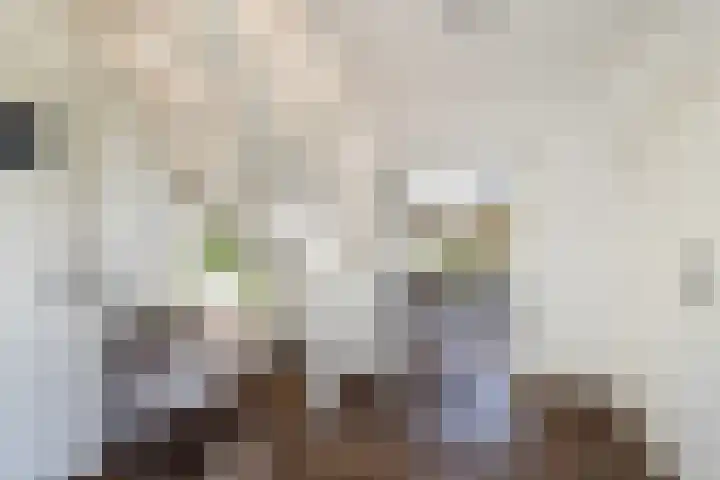 Wolfsesteeg 3 Nijkerkerveen thumbnail 8
