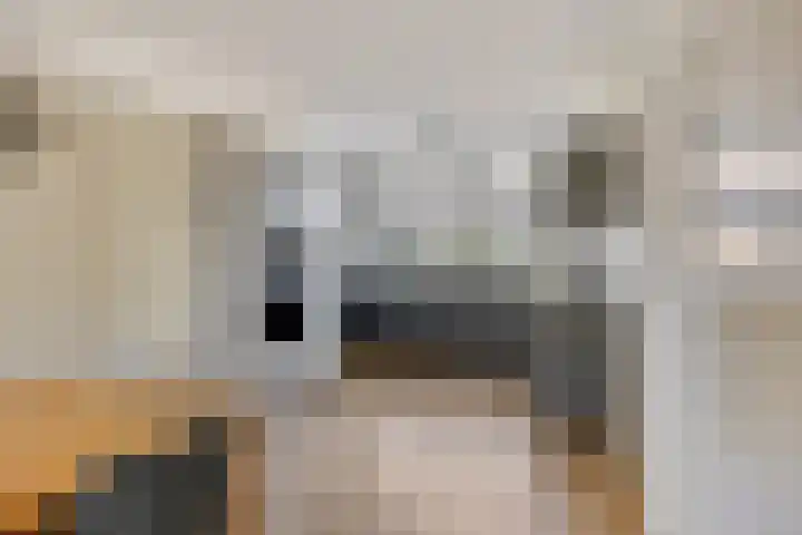 Wolfsheining 13 Rijsbergen thumbnail 10