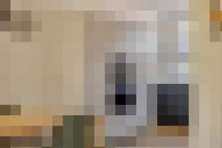 Wolfsheining 13 Rijsbergen thumbnail 12