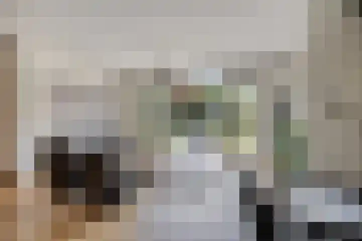 Wolfsheining 13 Rijsbergen thumbnail 15