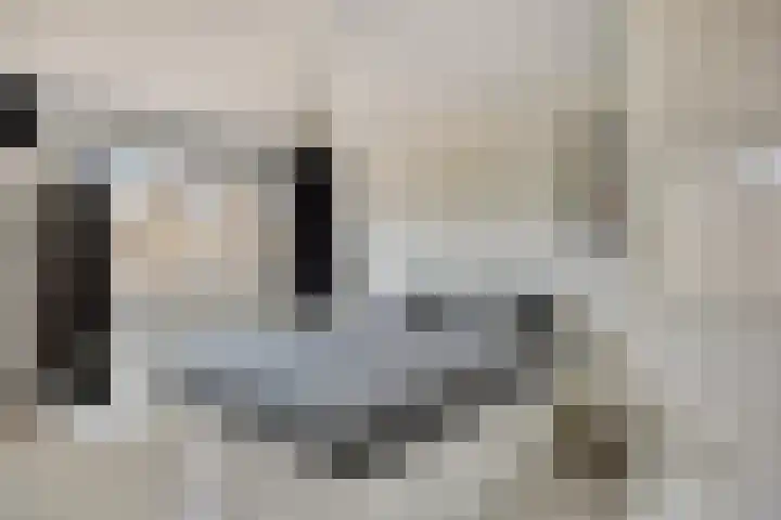 Wolfsheining 13 Rijsbergen thumbnail 17