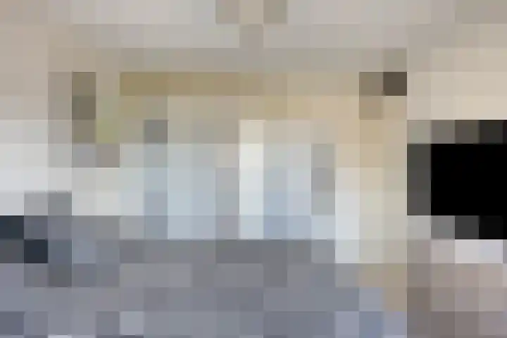 Wolfsheining 13 Rijsbergen thumbnail 18