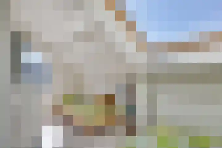 Wolfsheining 13 Rijsbergen thumbnail 24