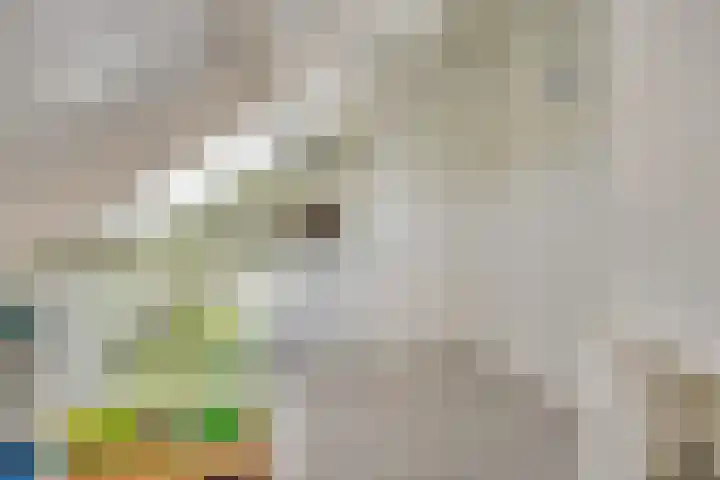Wolfsheining 13 Rijsbergen thumbnail 25