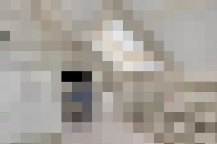 Wolfsheining 13 Rijsbergen thumbnail 26