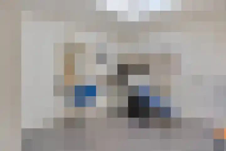 Wolfsheining 13 Rijsbergen thumbnail 30