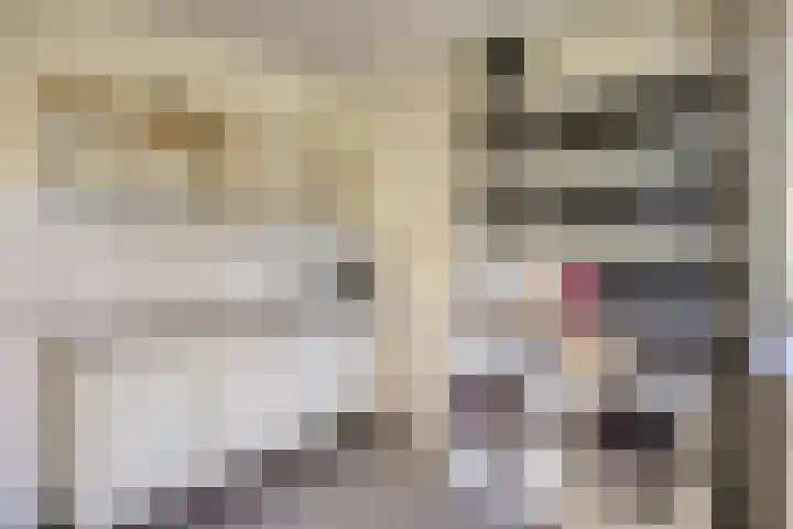 Wolfsheining 13 Rijsbergen thumbnail 31