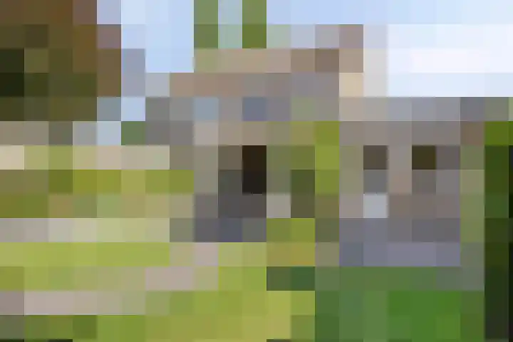 Wolfsheining 13 Rijsbergen thumbnail 32