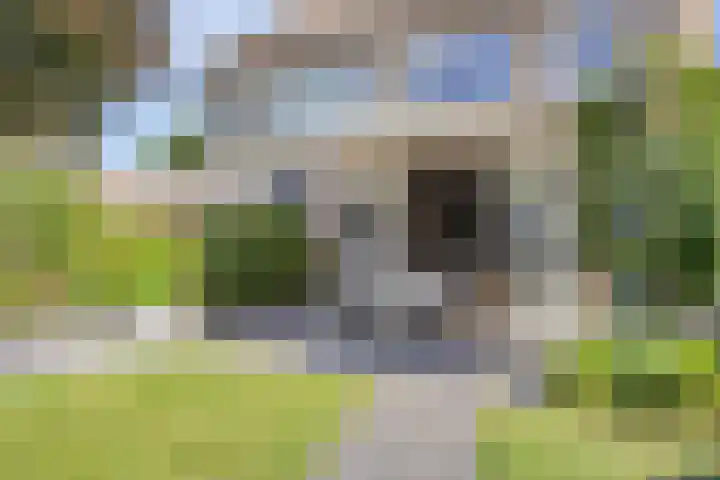 Wolfsheining 13 Rijsbergen thumbnail 34