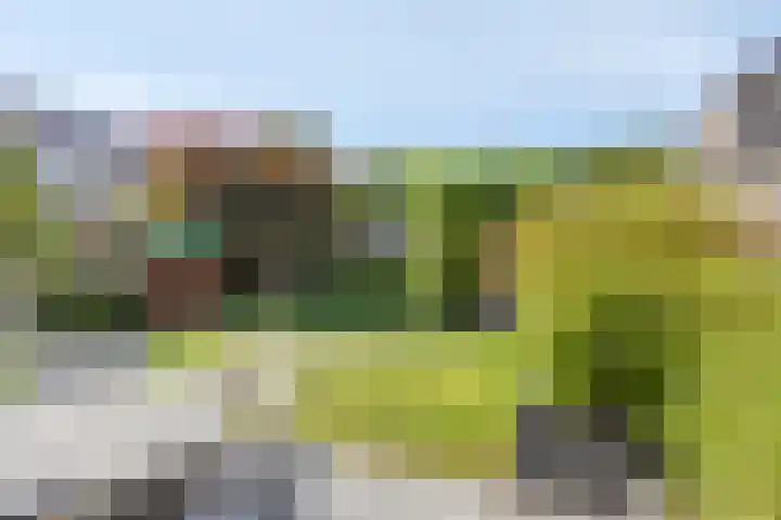 Wolfsheining 13 Rijsbergen thumbnail 35