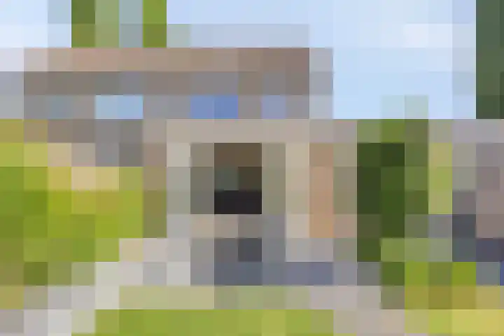 Wolfsheining 13 Rijsbergen thumbnail 6
