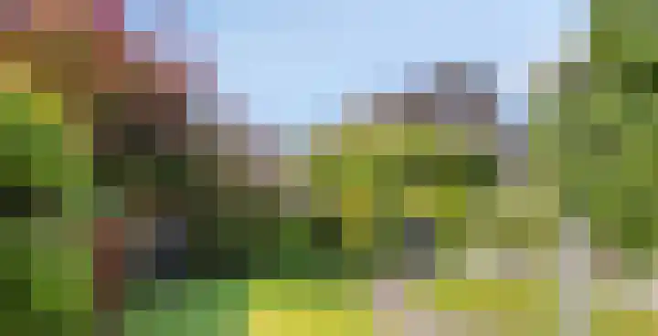 Wolfsheining 13 Rijsbergen thumbnail 7