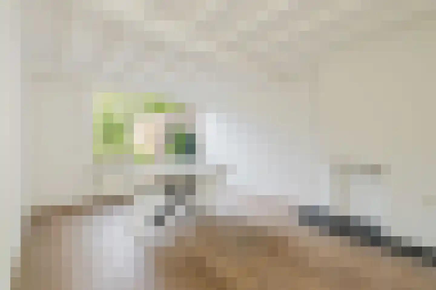 Wolfsheining 20 Rijsbergen thumbnail 10