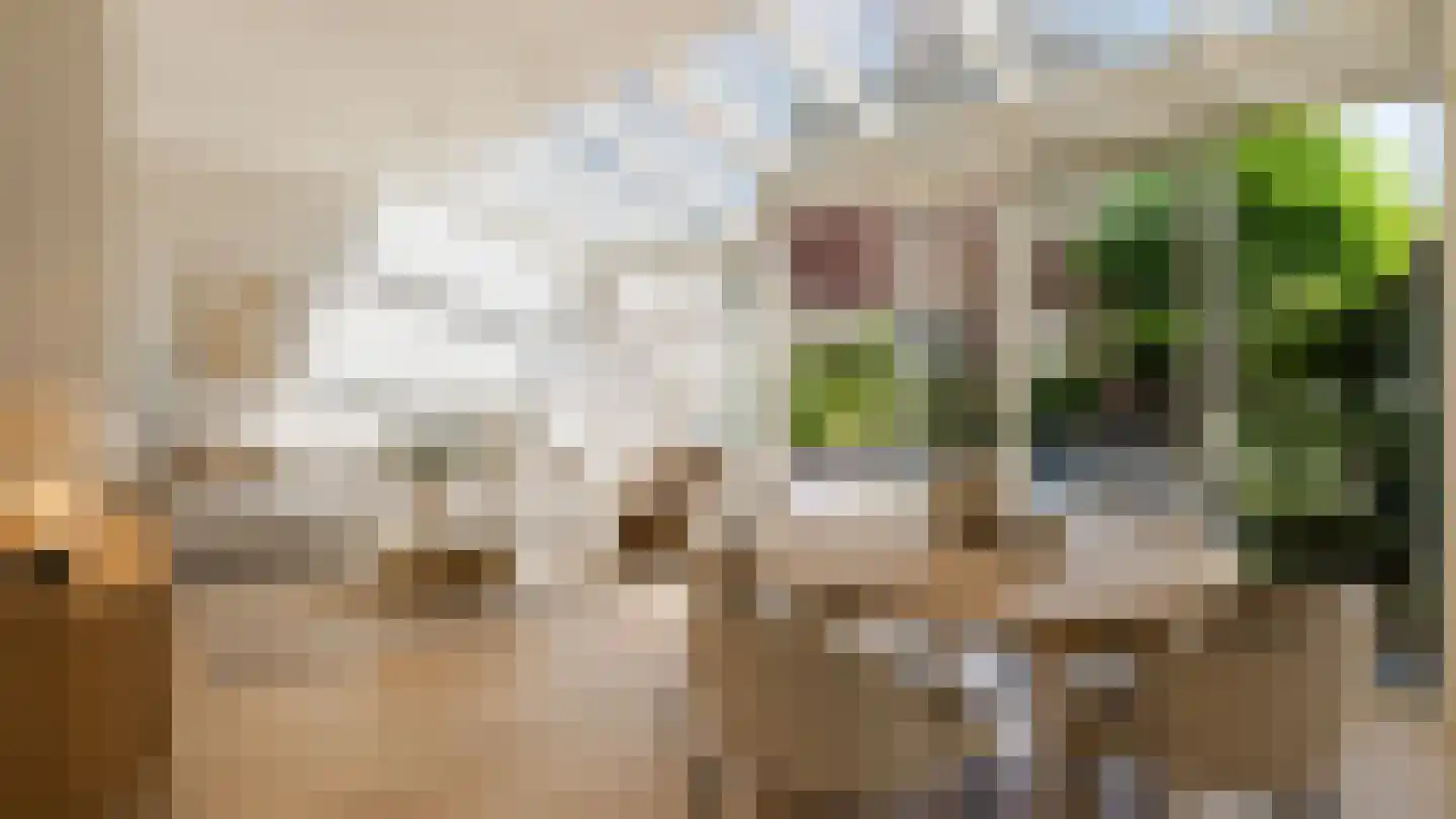Wolfsheining 20 Rijsbergen thumbnail 21
