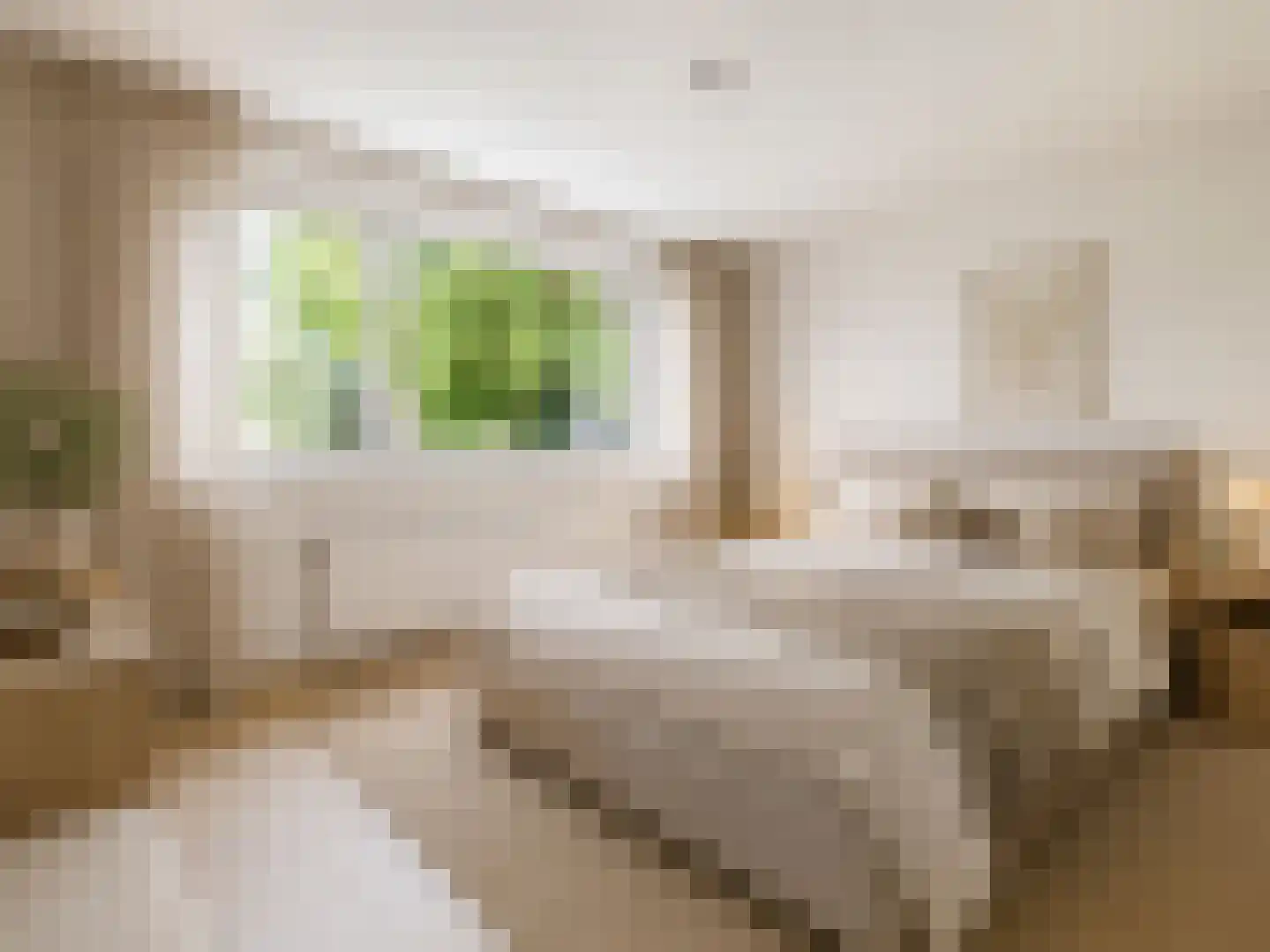 Wolfsheining 20 Rijsbergen thumbnail 32