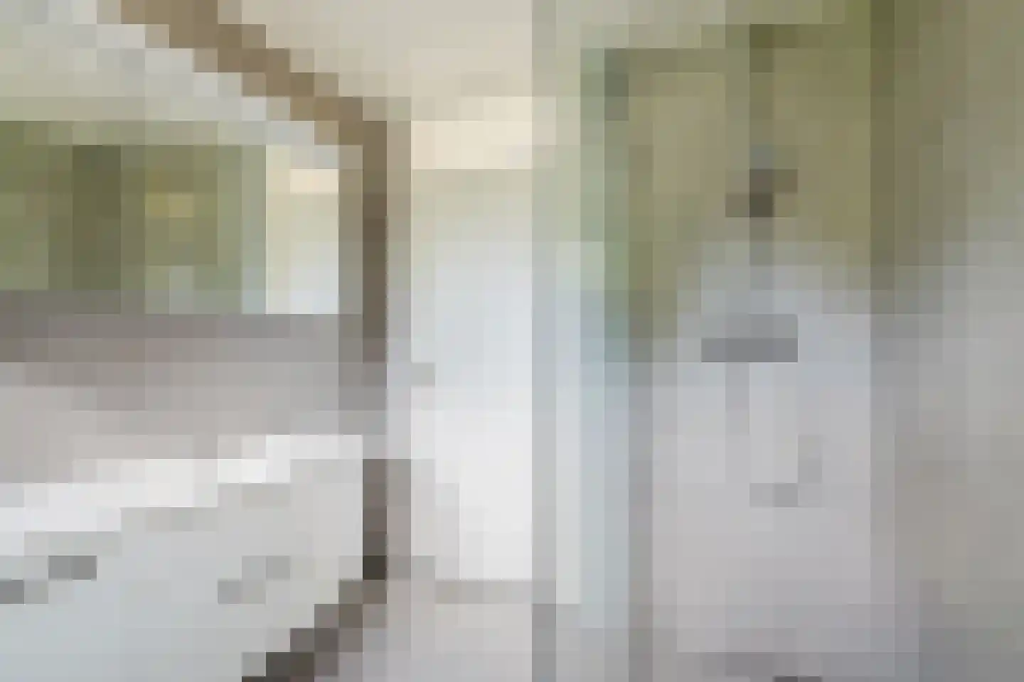 Wolfsheining 20 Rijsbergen thumbnail 36