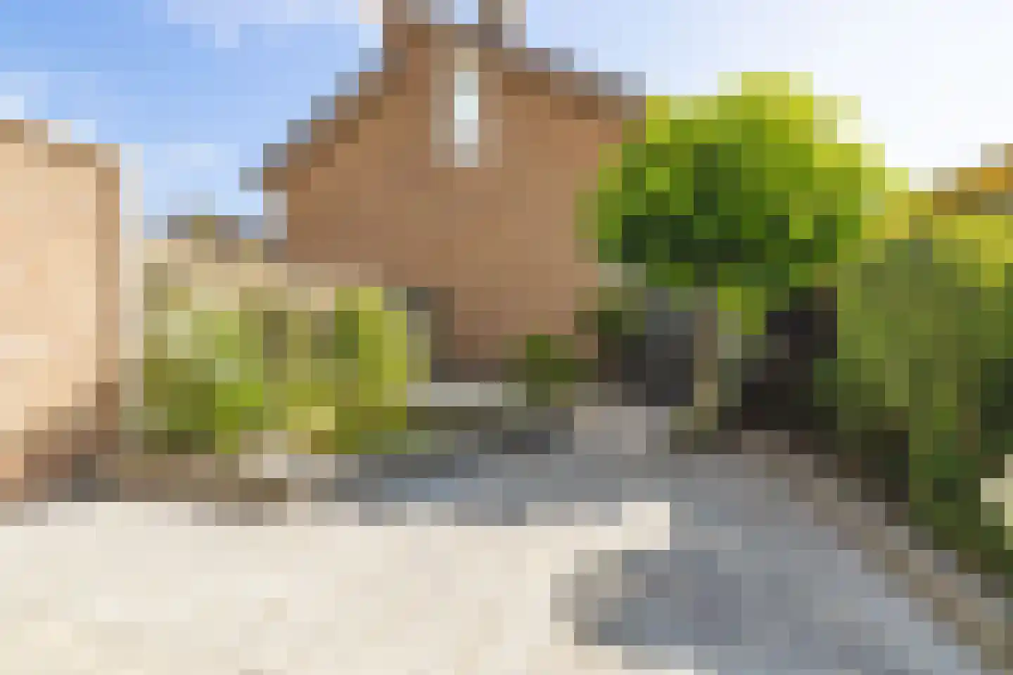 Wolfsheining 20 Rijsbergen thumbnail 42