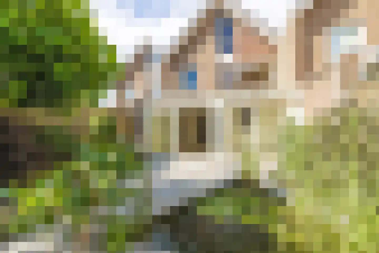 Wolfsheining 20 Rijsbergen thumbnail 44
