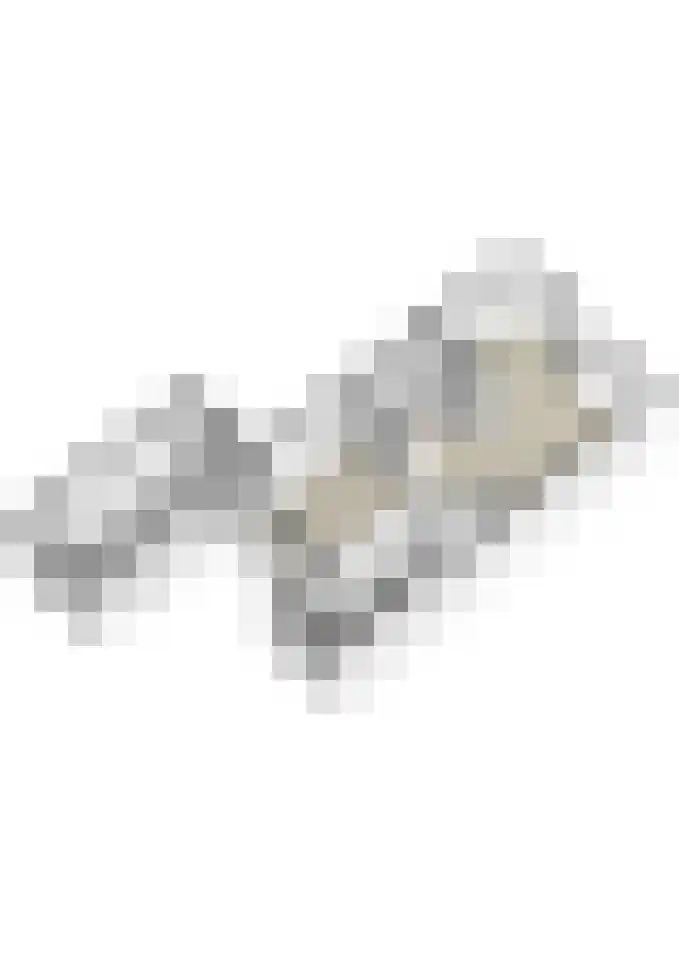Wolfsheining 20 Rijsbergen thumbnail 50