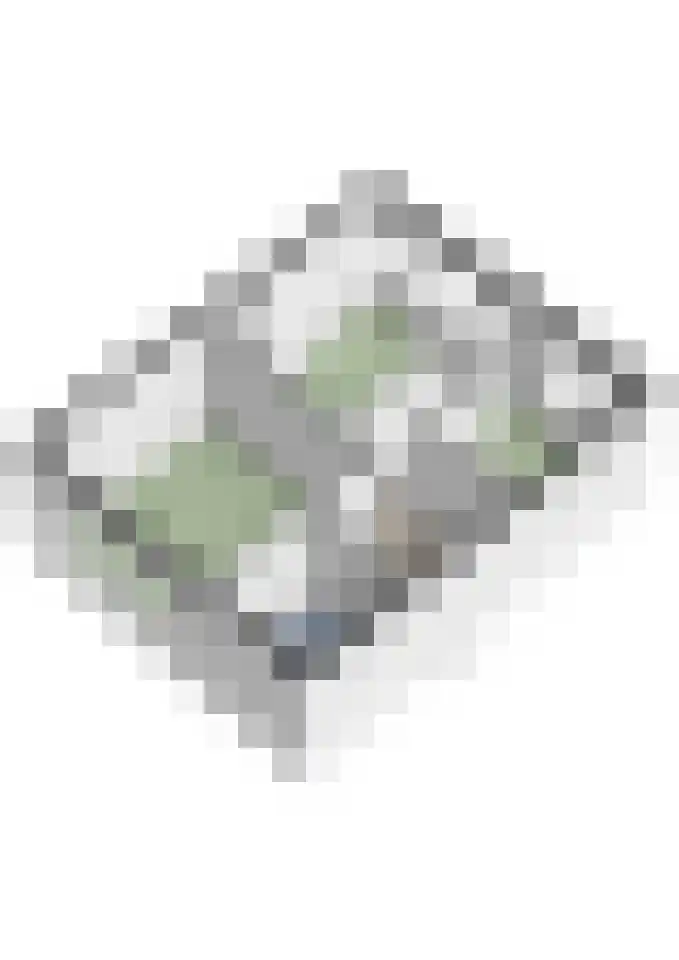 Wolfsheining 20 Rijsbergen thumbnail 52