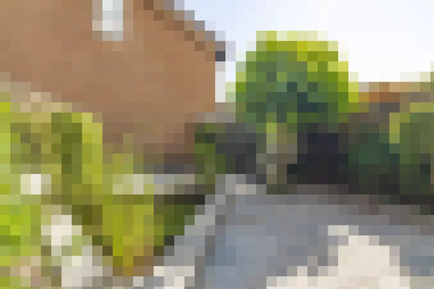 Wolfsheining 20 Rijsbergen thumbnail 6