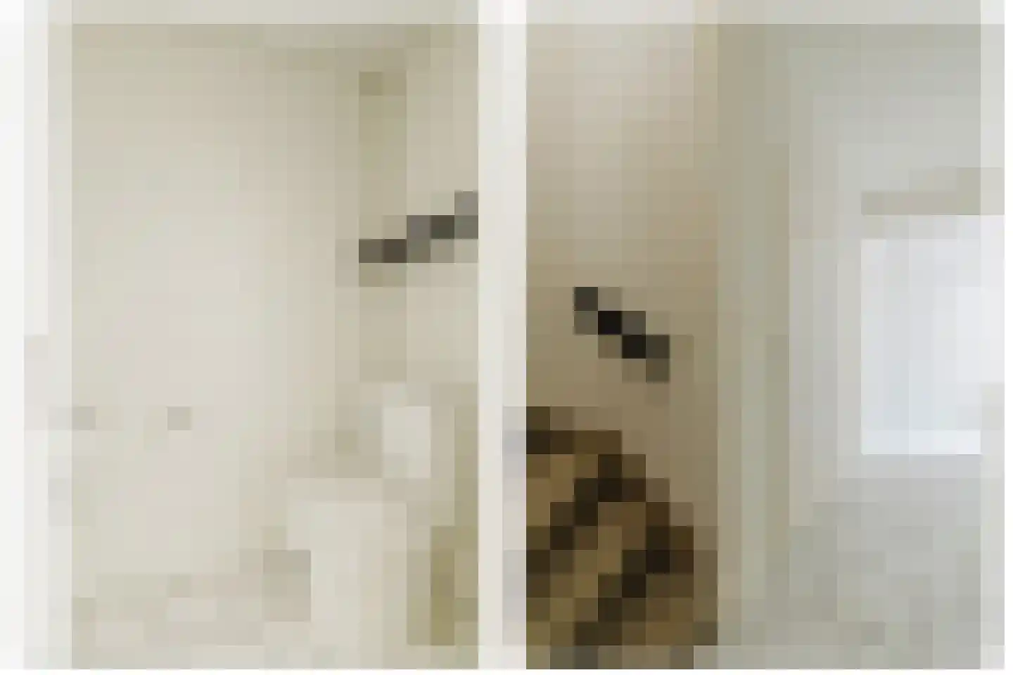 Wolfsheining 20 Rijsbergen thumbnail 9