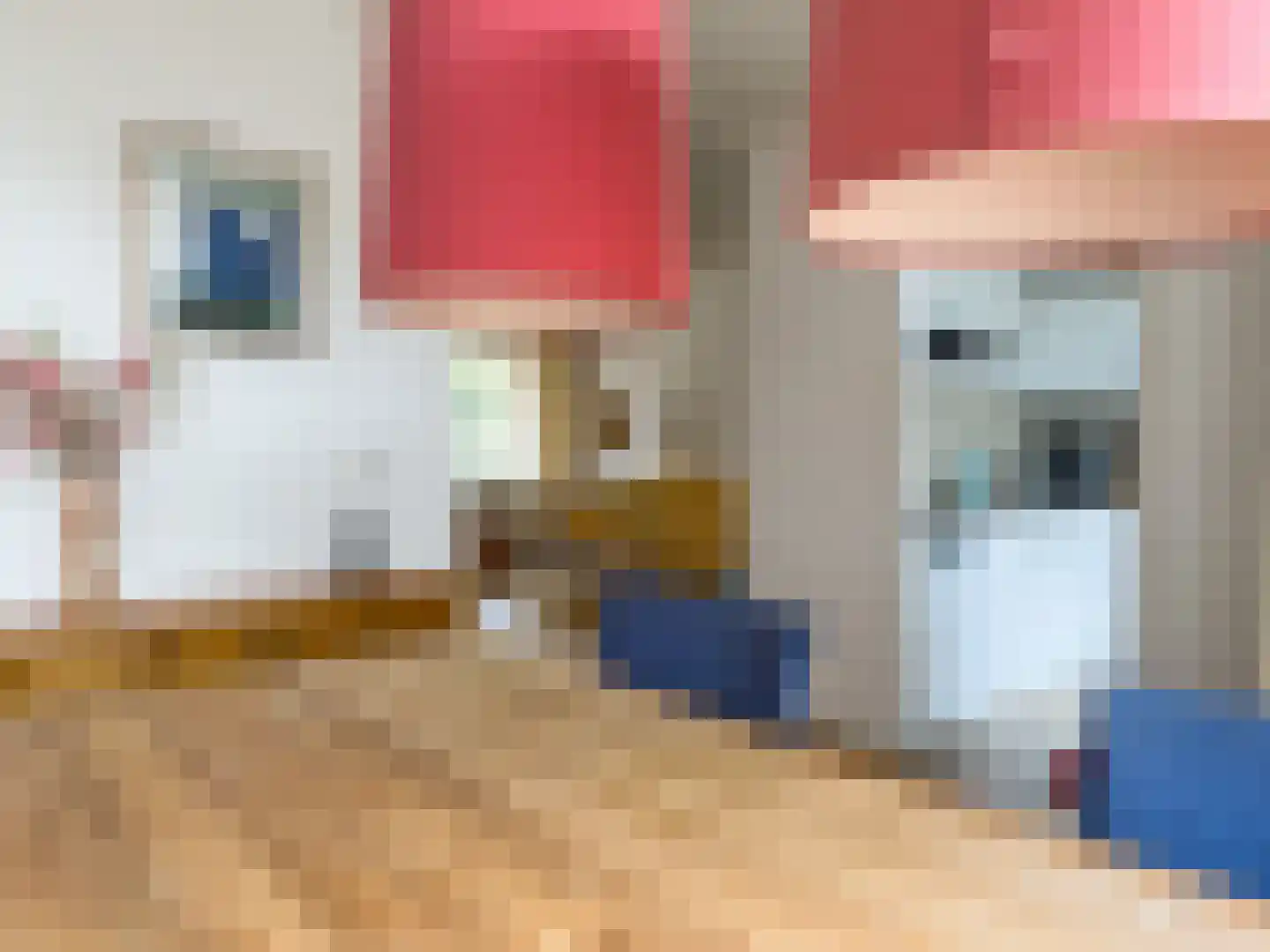 Wolfsheining 30 Rijsbergen thumbnail 17
