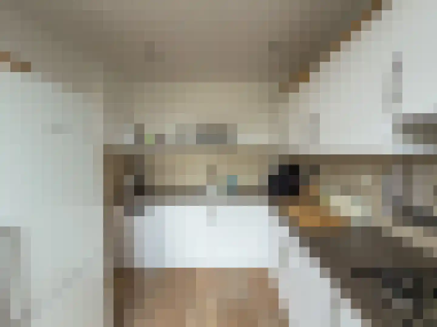 Wolfsheining 30 Rijsbergen thumbnail 19