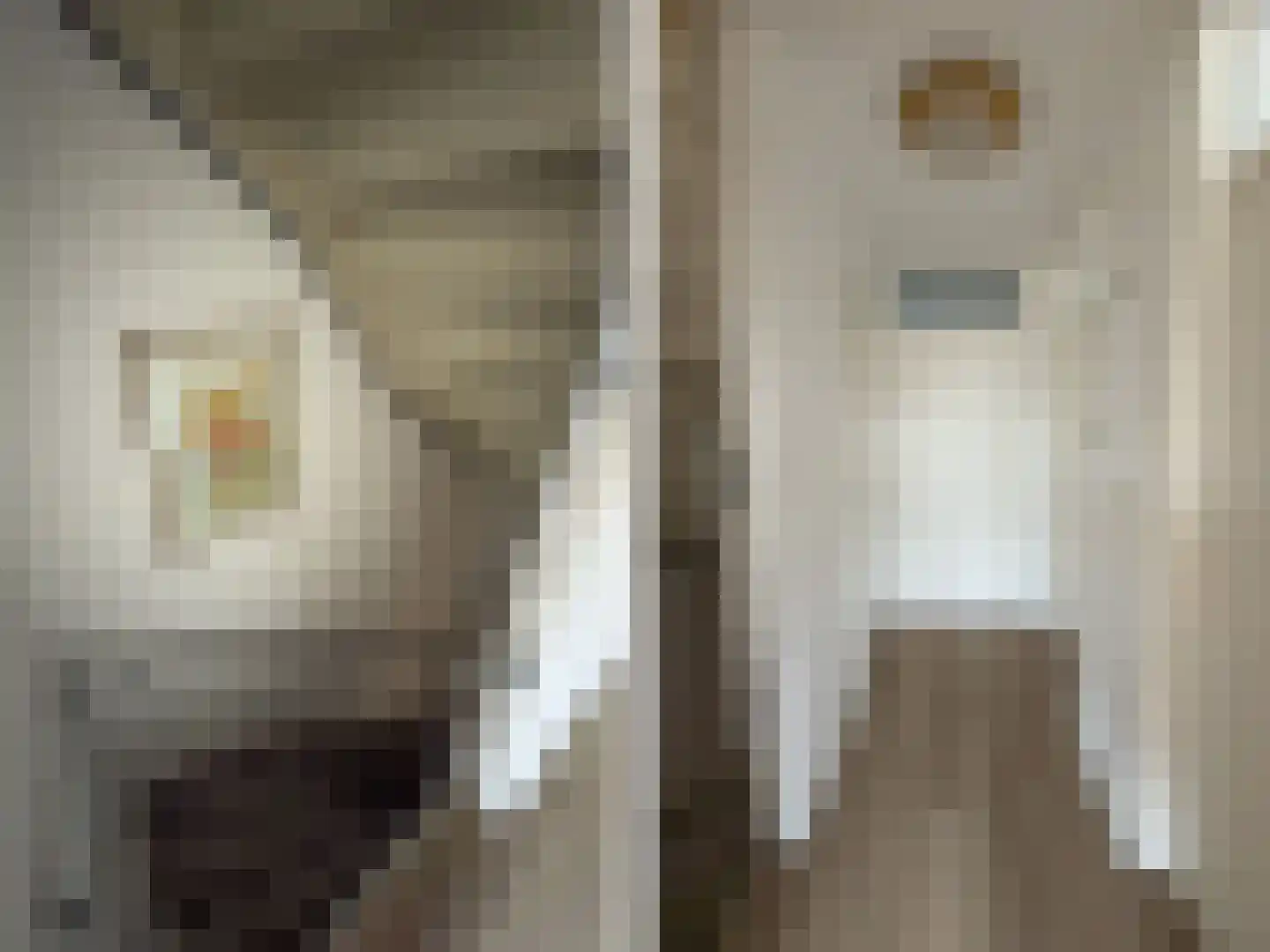 Wolfsheining 30 Rijsbergen thumbnail 20