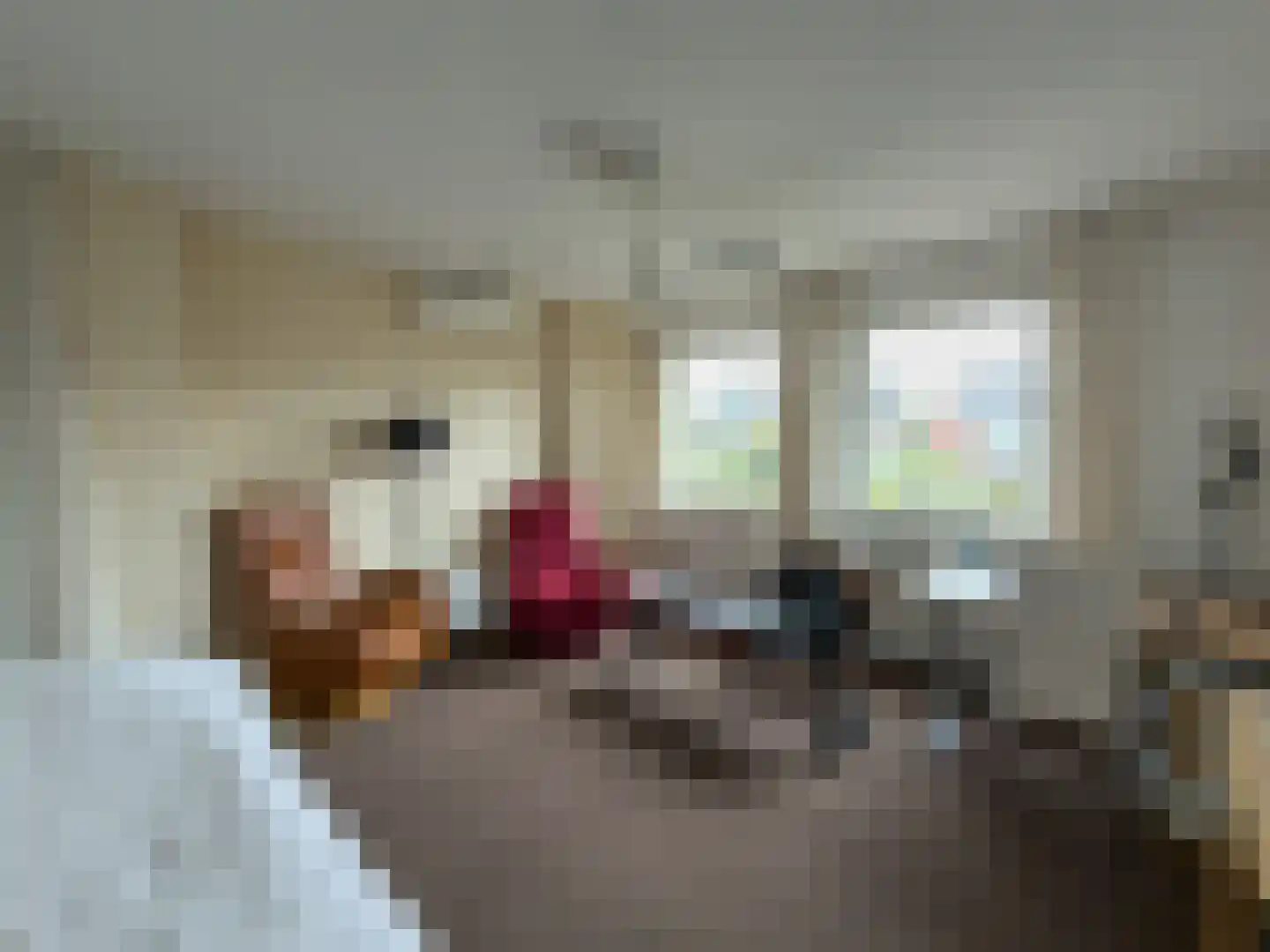 Wolfsheining 30 Rijsbergen thumbnail 21