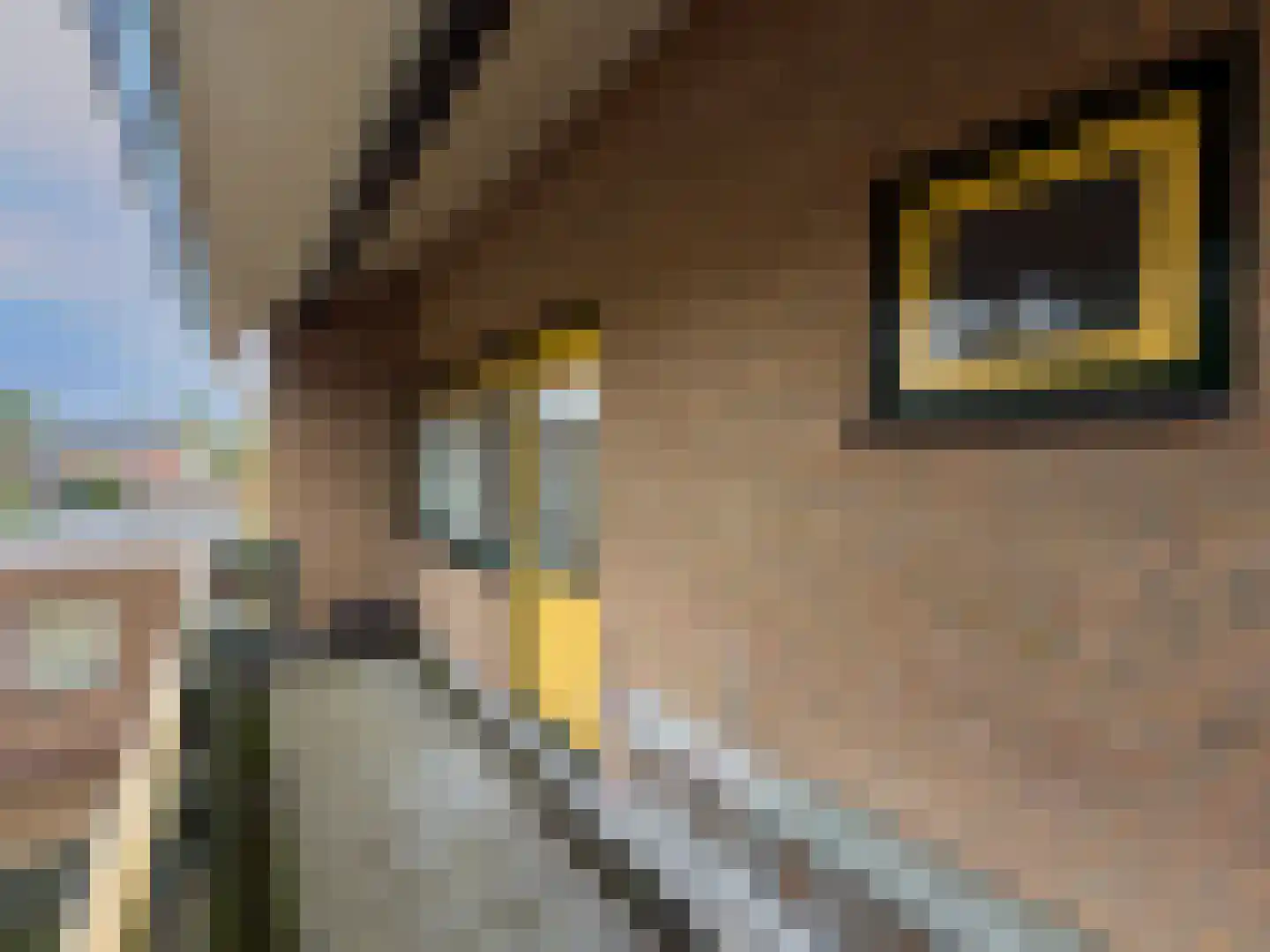 Wolfsheining 30 Rijsbergen thumbnail 26