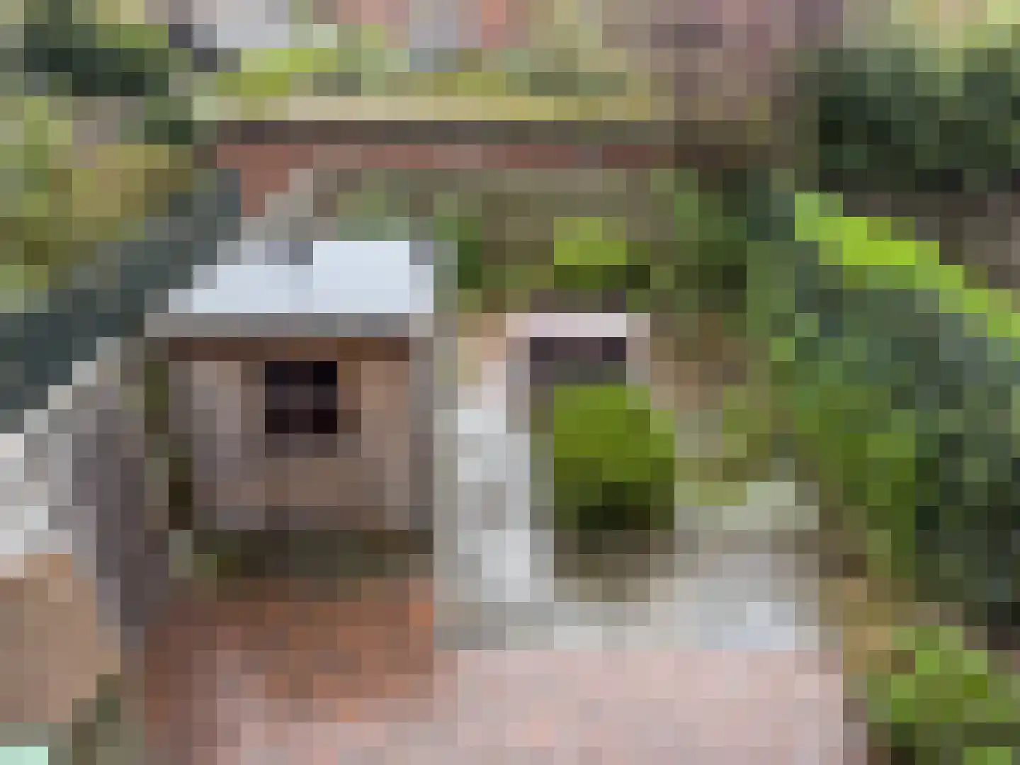 Wolfsheining 30 Rijsbergen thumbnail 31