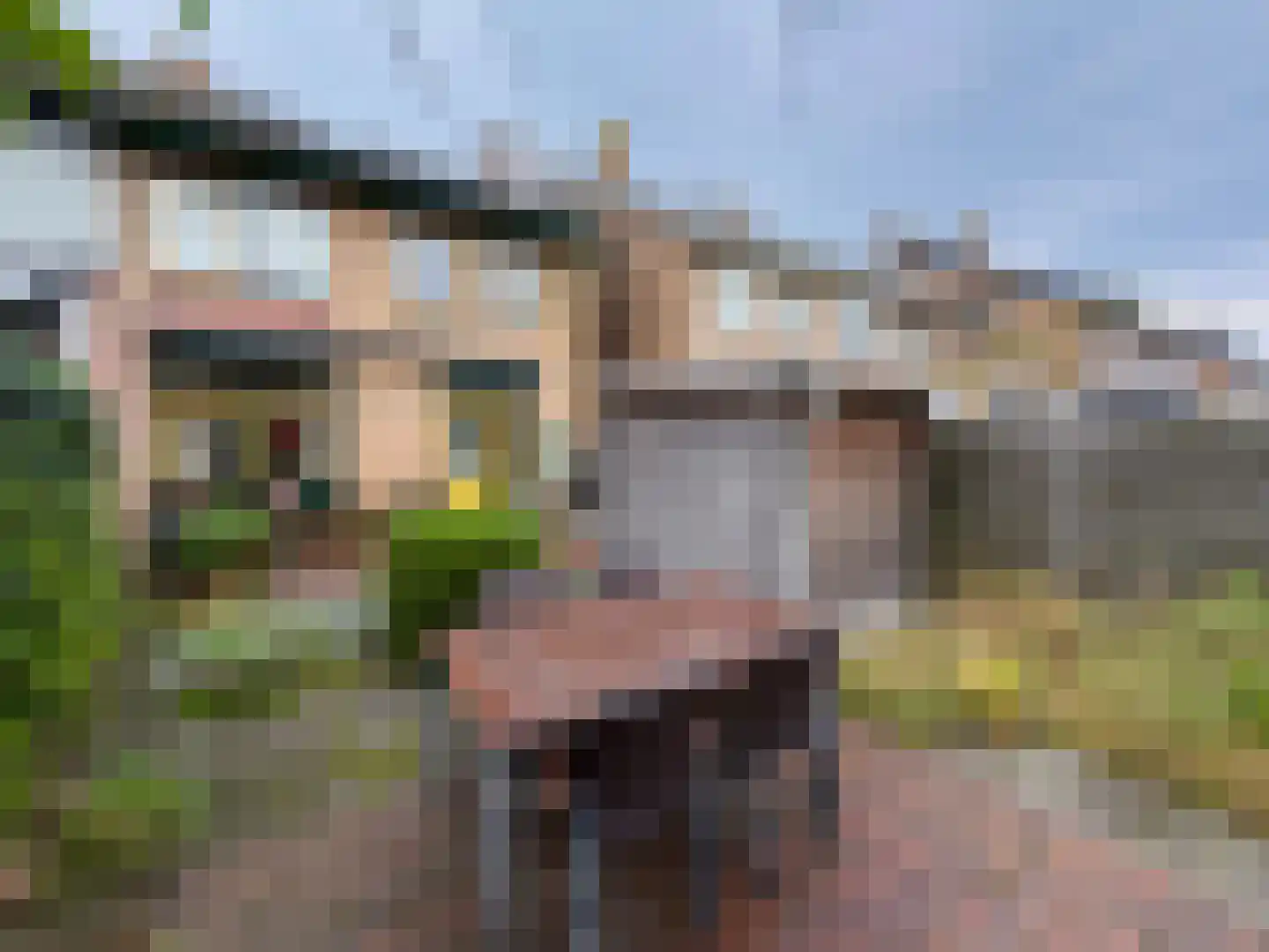Wolfsheining 30 Rijsbergen thumbnail 32