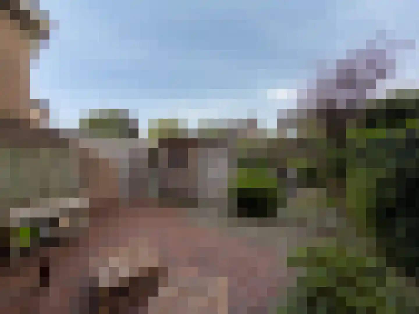Wolfsheining 30 Rijsbergen thumbnail 34