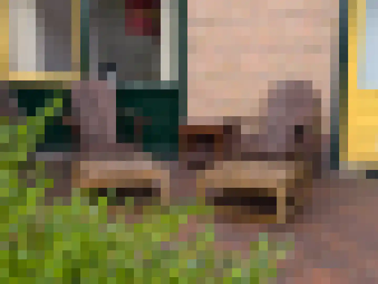 Wolfsheining 30 Rijsbergen thumbnail 35
