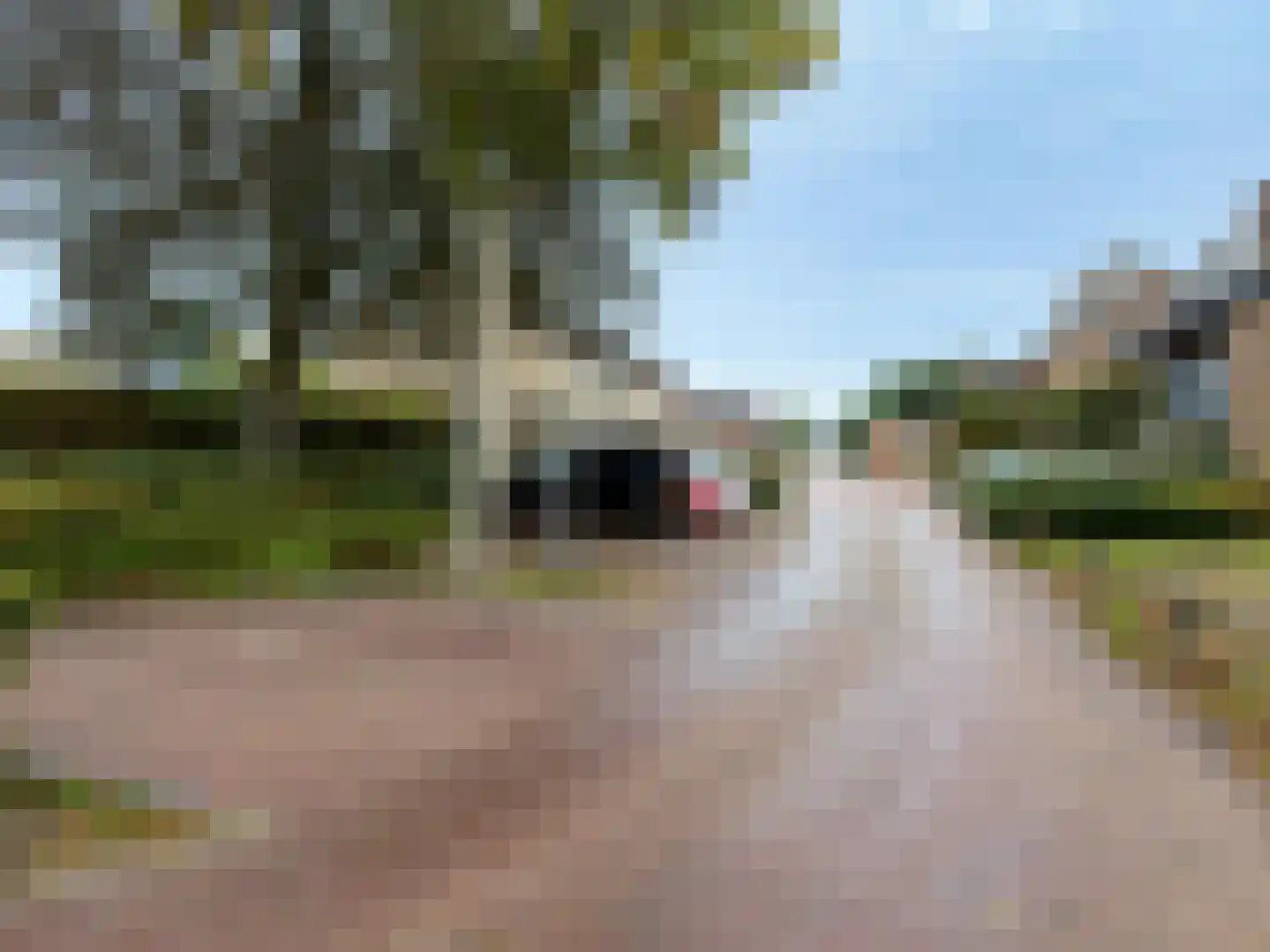 Wolfsheining 30 Rijsbergen thumbnail 39