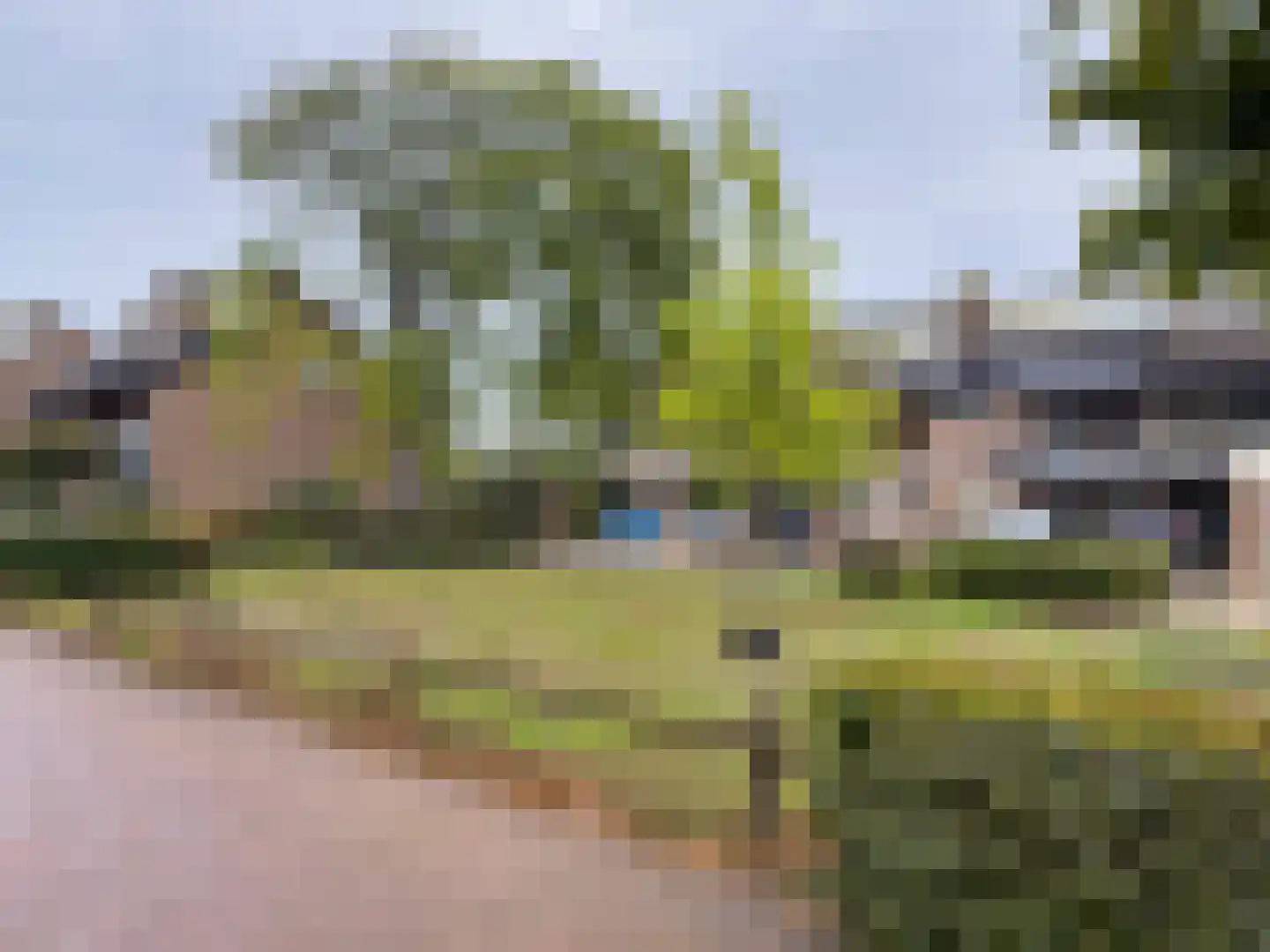 Wolfsheining 30 Rijsbergen thumbnail 40