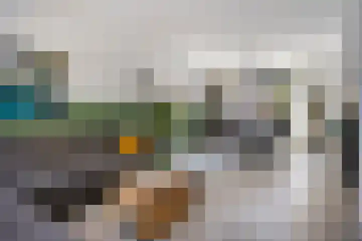 Wolfsheining 4 Rijsbergen thumbnail 10