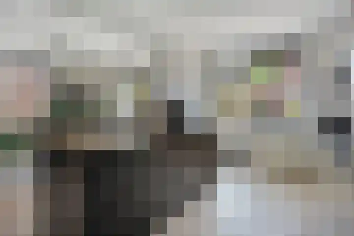 Wolfsheining 4 Rijsbergen thumbnail 14
