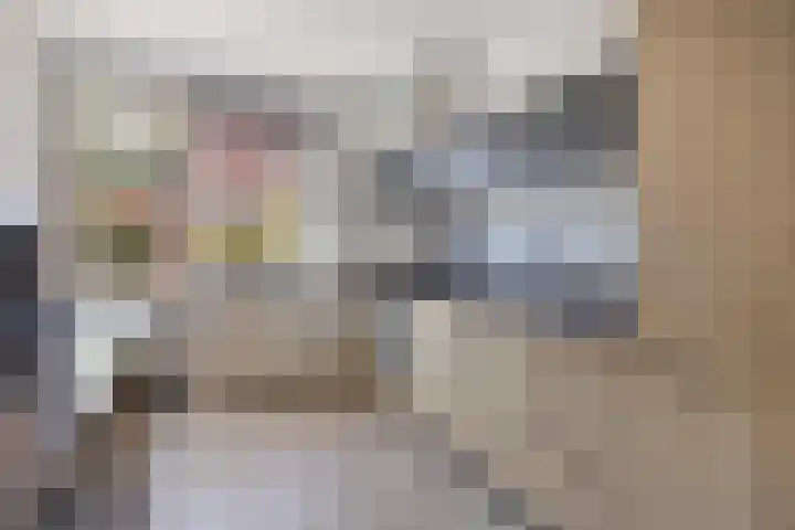 Wolfsheining 4 Rijsbergen thumbnail 15