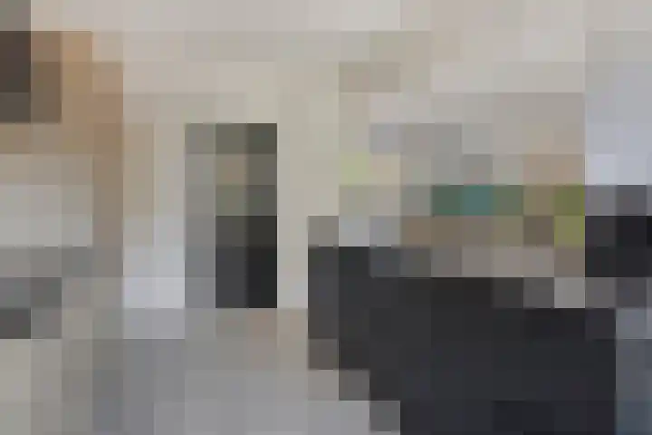 Wolfsheining 4 Rijsbergen thumbnail 17