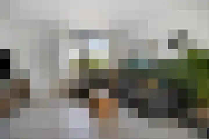 Wolfsheining 4 Rijsbergen foto 2