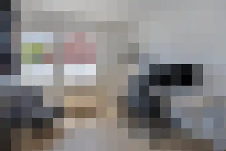 Wolfsheining 4 Rijsbergen thumbnail 24