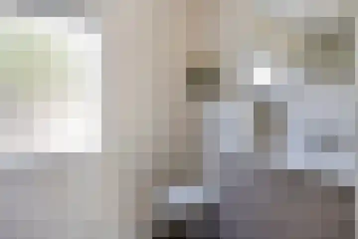Wolfsheining 4 Rijsbergen thumbnail 25