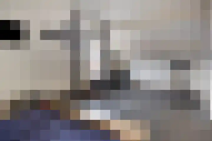 Wolfsheining 4 Rijsbergen thumbnail 31