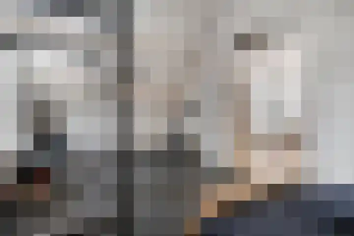 Wolfsheining 4 Rijsbergen thumbnail 33