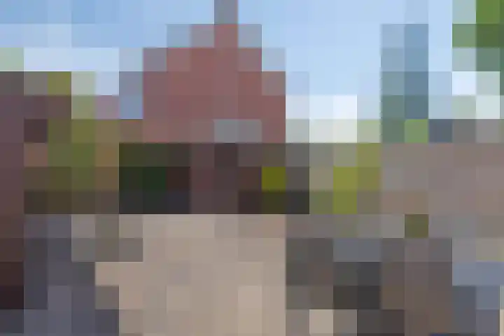 Wolfsheining 4 Rijsbergen thumbnail 34