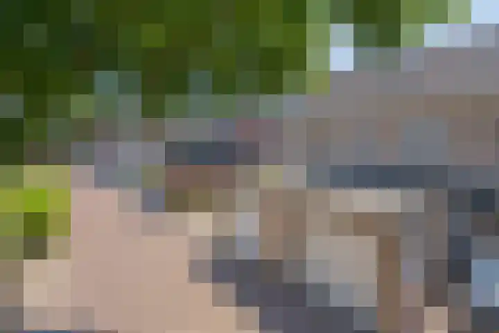 Wolfsheining 4 Rijsbergen thumbnail 38
