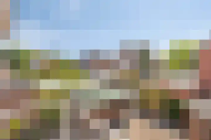 Wolfsheining 4 Rijsbergen thumbnail 39